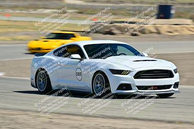 media/May-24-2025-Turn8 Trackdays (Sat) [[034586b55d]]/3 Inter 3/Session 2 (Cotton Corners-Grapevine)/